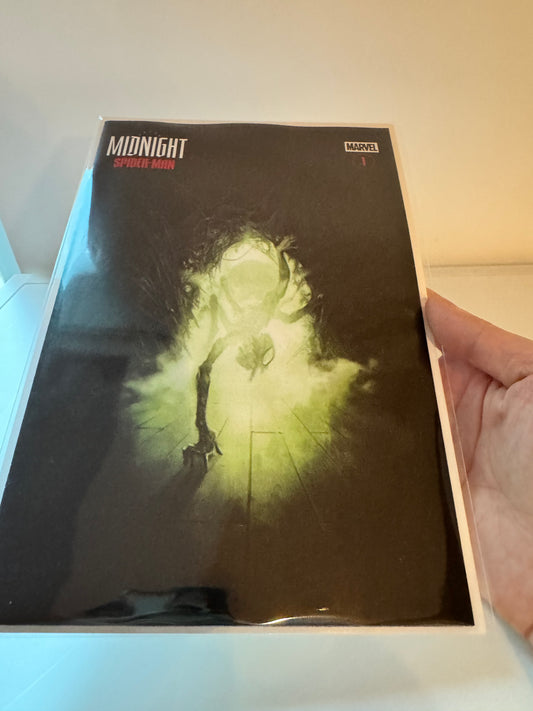 Midnight Spider-Man #1 Cover D Skan Midnight Horror Homage Variant
