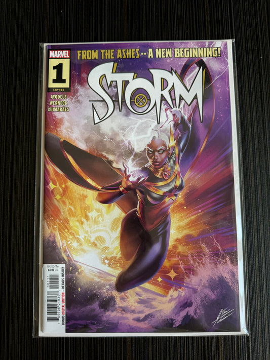 Storm #1