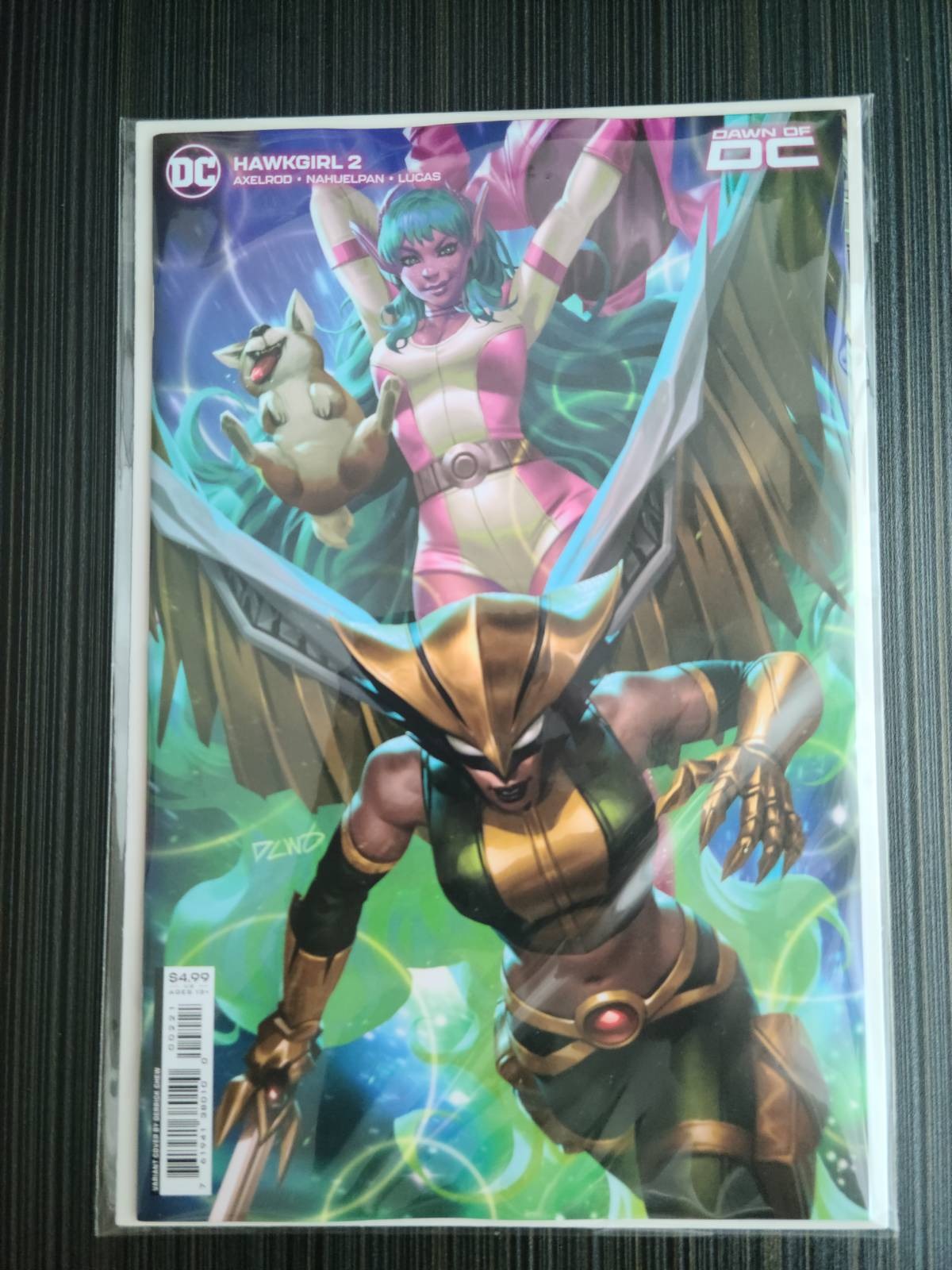 Hawkgirl #2 (of 6) Cover B