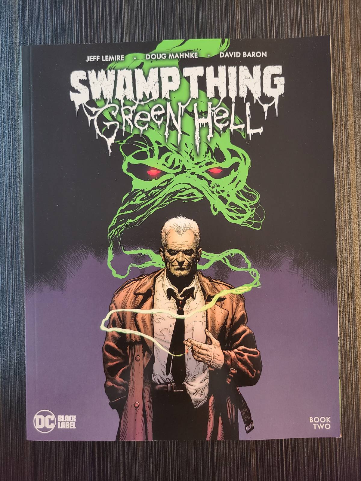 Swamp Thing Green Hell #2 Cover A comic book